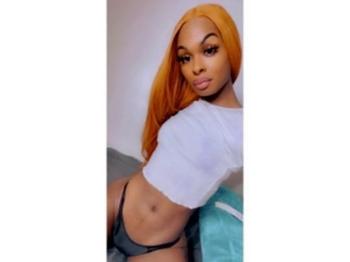 2673048506, transgender escort, Philadelphia