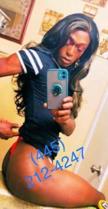 4452124247, transgender escort, Philadelphia